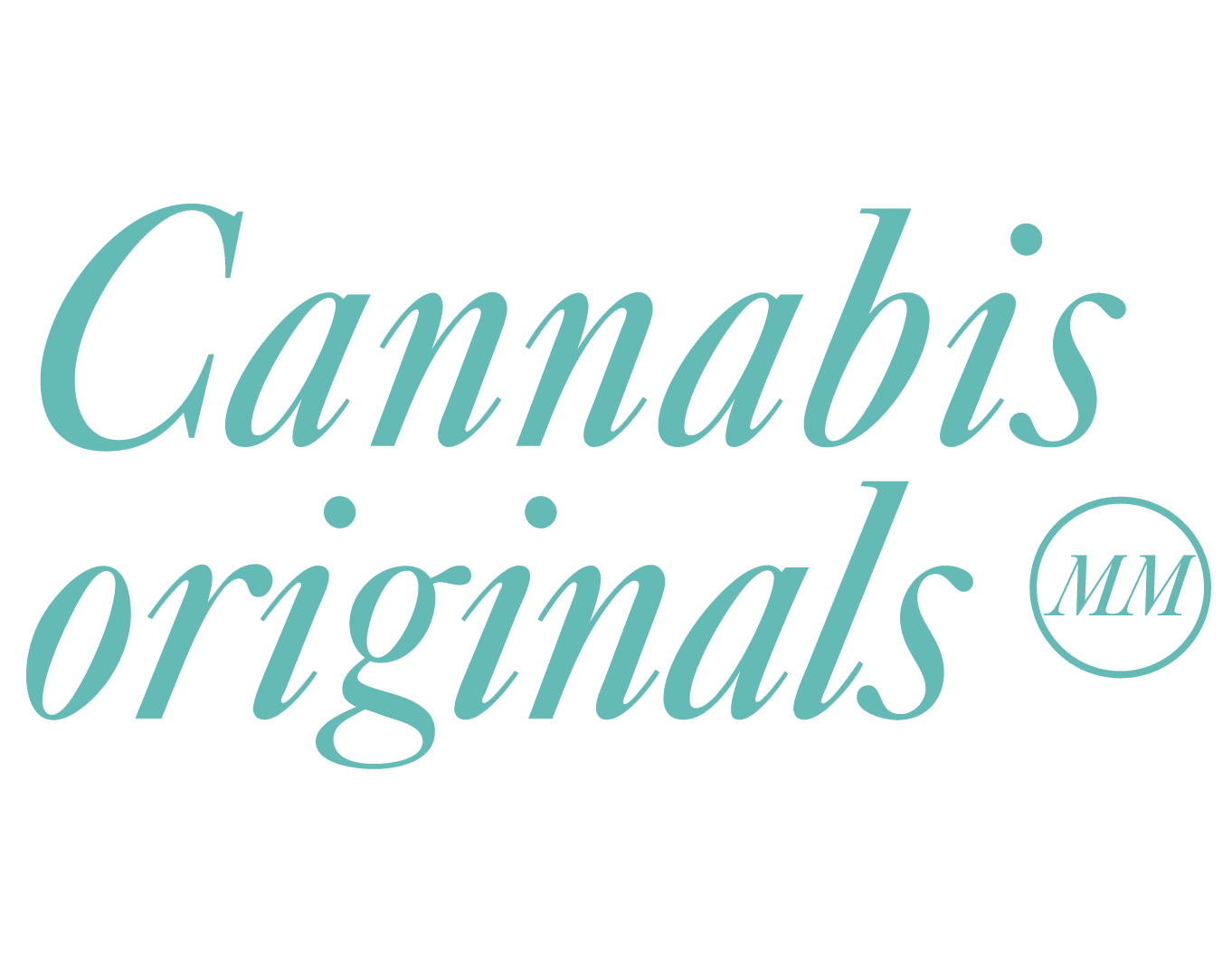 Cannabis Hero - Logo stworzone przez agencje interaktywną w Katowicach